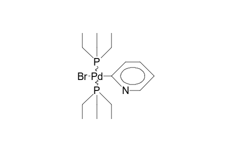 trans-Bromo-(2-pyridyl)-bis(triethyl-phosphine)-palladium