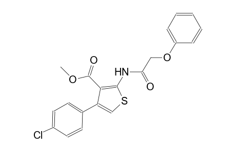 methyl 4-(4-chlorophenyl)-2-[(phenoxyacetyl)amino]-3-thiophenecarboxylate
