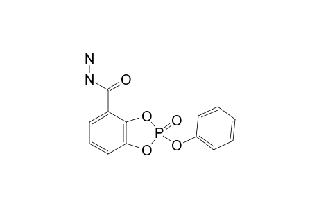 2-(PHENOXY)-1,3,2-BENZODIOXA-PHOSPHOLE-4-CARBOHYDRAZIDE-2-OXIDE