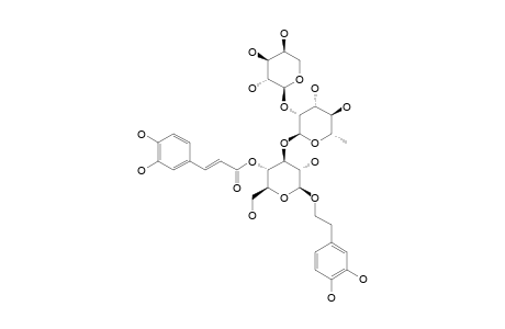 STACHYSOSIDE-A;2-(3,4-DIHYDROXYPHENYL)-ETHYL-O-ALPHA-L-ARABINOPYRANOSYL-(1->2)-ALPHA-L-RHAMNOPYRANOSYL-(1->3)-4-O-E-CAFFEOYL-BETA-D-GLUCOPYRANOSIDE