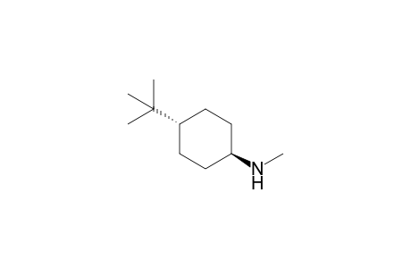trans-4-tert-Butyl-1-methylamino-cyclohexane