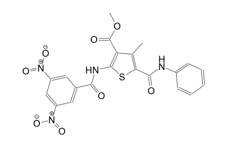 methyl 5-(anilinocarbonyl)-2-[(3,5-dinitrobenzoyl)amino]-4-methyl-3-thiophenecarboxylate
