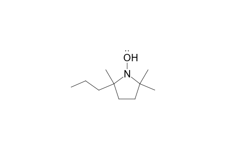 1-Pyrrolidinyloxy, 2,2,5-trimethyl-5-propyl-