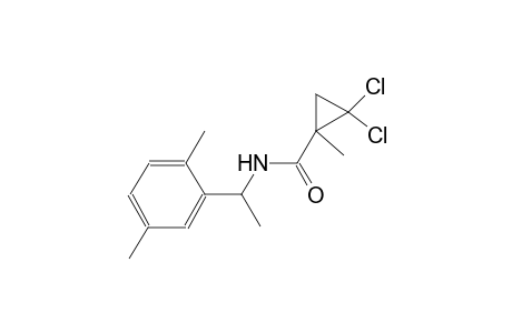 2,2-dichloro-N-[1-(2,5-dimethylphenyl)ethyl]-1-methylcyclopropanecarboxamide
