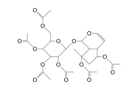 Leonuride-hexaacetate
