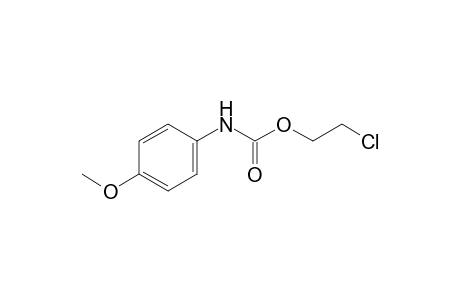 p-methoxycarbanilic acid, 2-chloroethyl ester