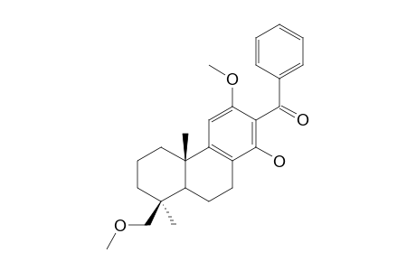 13-benzoyl-12,19-dimethoxypodocarpa-8,11,13-trien-14-ol