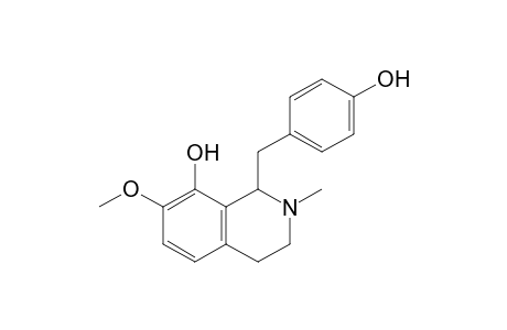 1-(4-hydroxybenzyl)-7-methoxy-2-methyl-3,4-dihydro-1H-isoquinolin-8-ol