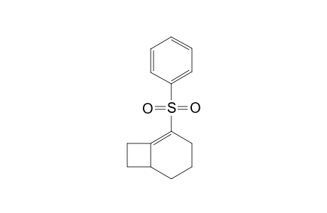 2-(Phenylsulfonyl)bicyclo[4.2.1]oct-1-ene