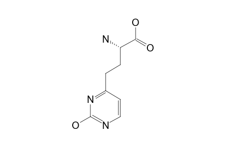 (S)-GAMMA-(2-HYDROXYPYRIMIDIN-4-YL)-ALPHA-AMINOBUTYRIC-ACID