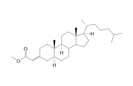 (Z)-3-(Acrylic acid)-5.alpha.-cholestane,methyl ester