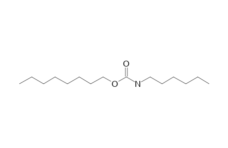 Carbonic acid, monoamide, N-hexyl-, octyl ester