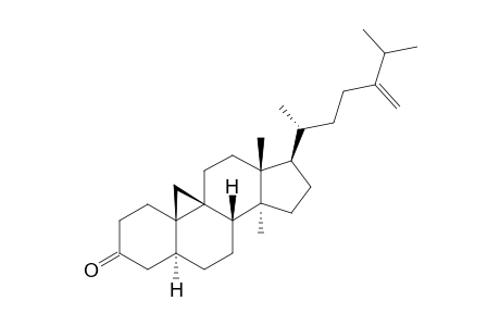 24-METHYLENEPOLLINASTANONE;14-ALPHA-METHYL-9-BETA,19-CYCLOERGOST-24(24')-EN-3-ONE