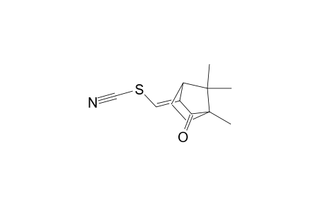 Thiocyanic acid, (4,7,7-trimethyl-3-oxobicyclo[2.2.1]hept-2-ylidene)methyl ester