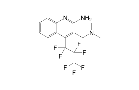 3-[(dimethylamino)methyl]-4-(1,1,2,2,3,3,3-heptafluoropropyl)-2-quinolinamine