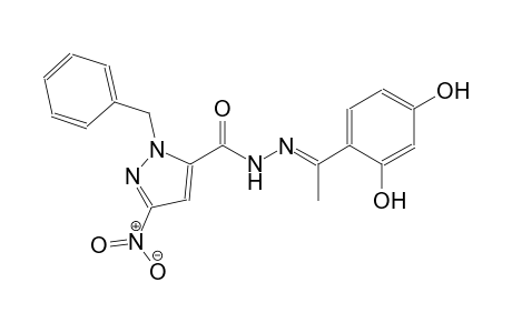 1-benzyl-N'-[(E)-1-(2,4-dihydroxyphenyl)ethylidene]-3-nitro-1H-pyrazole-5-carbohydrazide