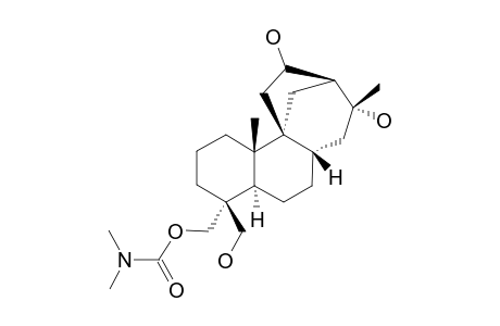 19-N,N-DIMETHYLCARBAMOXY-13,17-XI,18-TRIHYDROXYSTEMARANE