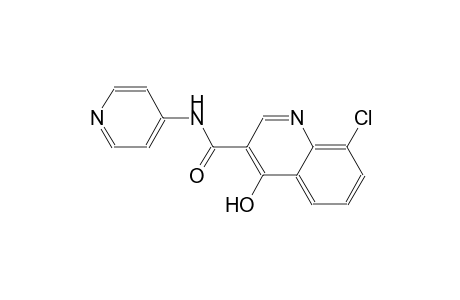 3-quinolinecarboxamide, 8-chloro-4-hydroxy-N-(4-pyridinyl)-