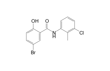 5-bromo-3'-chloro-o-salicylotoluidide