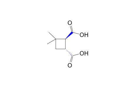 trans-3,3-dimethyl-1,2-cyclobutanedicarboxylic acid