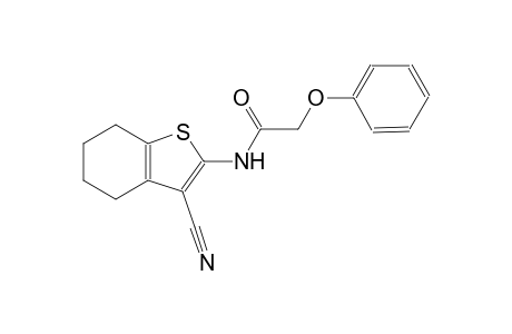 N-(3-cyano-4,5,6,7-tetrahydro-1-benzothien-2-yl)-2-phenoxyacetamide