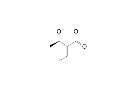 (E,3R)-2-ETHYLIDEN-2-(1'-HYDROXYETHYL)-BUTANOIC-ACID