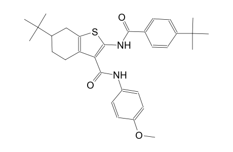 6-tert-Butyl-2-[(4-tert-butylbenzoyl)amino]-N-(4-methoxyphenyl)-4,5,6,7-tetrahydro-1-benzothiophene-3-carboxamide