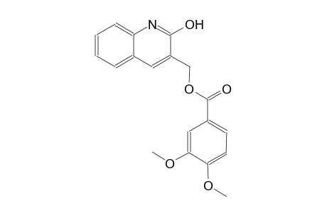 (2-hydroxy-3-quinolinyl)methyl 3,4-dimethoxybenzoate