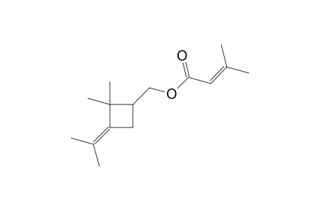 (3-isopropylidene-2,2-dimethyl-cyclobutyl)methyl 3-methylbut-2-enoate