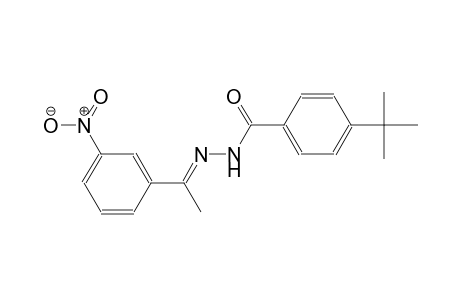 4-tert-butyl-N'-[(E)-1-(3-nitrophenyl)ethylidene]benzohydrazide