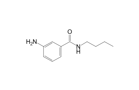 m-amino-N-butylbenzamide