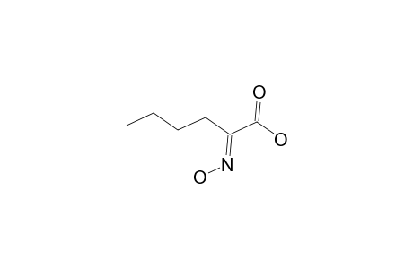 (2Z)-2-(Hydroxyimino)hexanoic acid