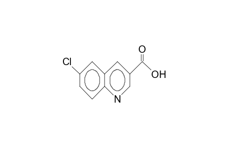 6-Chloro-3-quinolinecarboxylic acid