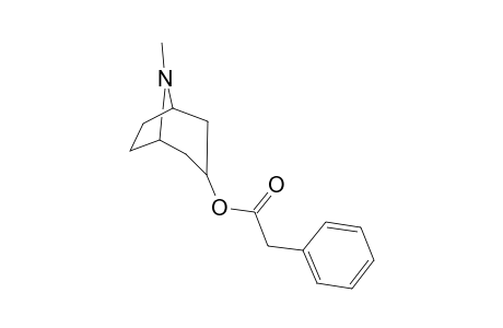 Xenytropium - GC Artefact II