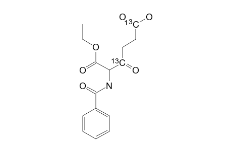1-ETHYL-2-BENZOYLAMINO-3-OXO-[3,6-(C-13)2]-HEXANEDIOATE
