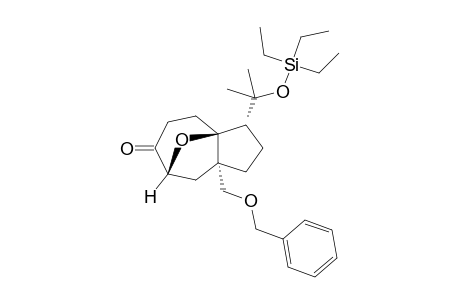 (1S*,2R*,5S*,7R*)-5-Benzyloxymethyl-2-(1-methyl-1-triethylsiloxyethyl)-11-oxatricyclo[5.3.1.0(1,5)]-8-undecanone