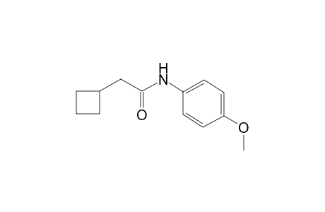 2-Cyclobutyl-N-(4-methoxyphenyl)acetamide