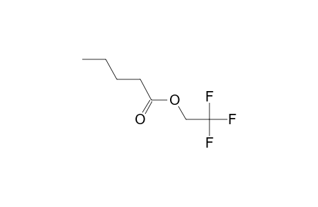 Pentanoic acid, 2,2,2-trifluoroethyl ester