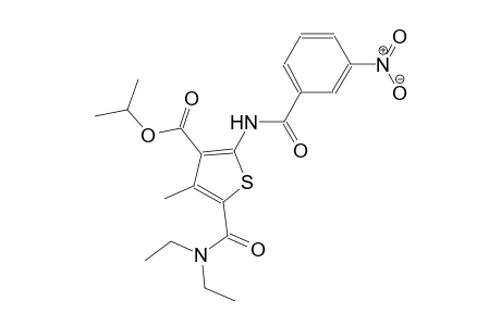 isopropyl 5-[(diethylamino)carbonyl]-4-methyl-2-[(3-nitrobenzoyl)amino]-3-thiophenecarboxylate