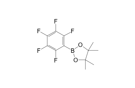 Pentafluorophenyl boronic acid pinacol ester