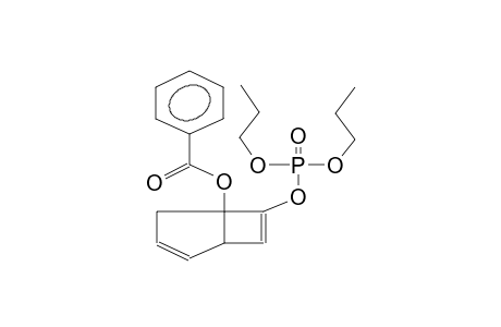 (5-BENZOYLOXYBICYCLO[3.2.0]HEPTA-3,6-DIEN-6-YL)DIPROPYLPHOSPHATE