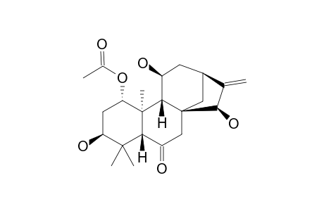 TENUIFOLIN_F;3-BETA,11-BETA,15-BETA-TRIHYDROXY-1-ALPHA-ACETOXY-ENT-KAUR-16-EN-6-ONE