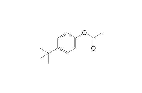 p-tert-butylpenol, acetate
