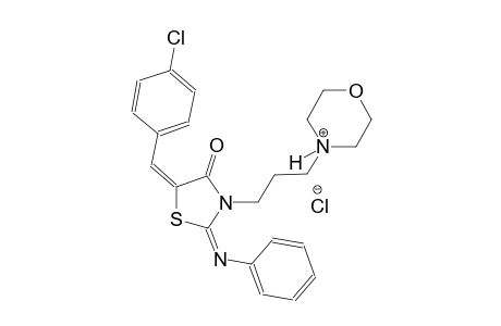 4-{3-[(2E,5E)-5-(4-chlorobenzylidene)-4-oxo-2-(phenylimino)-1,3-thiazolidin-3-yl]propyl}morpholin-4-ium chloride