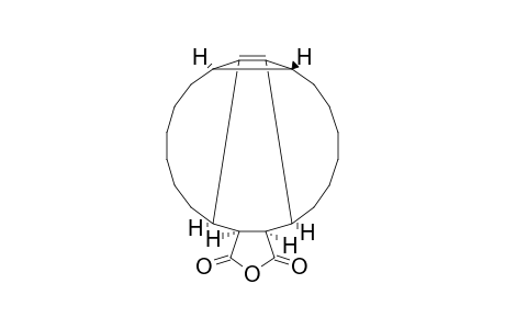 91.alpha.,2.alpha.,9.alpha.,12.beta.,19.alpha.,20.alpha.)-(+-)-22-oxapentacyclo[18.3.0.0(2,10).0(9,12).0(11,19)]tricos-10-ene-21,23-dione