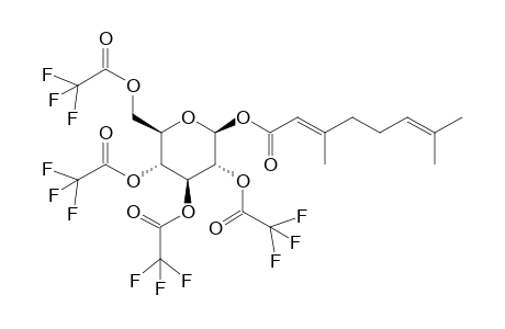 .beta.-[3',7'-dimethyl-2',6'-octadienoyl]-D-glucopyranoside-tetrakis(trifluoroacetyl) derivative