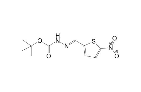 tert-butyl (2E)-2-[(5-nitro-2-thienyl)methylene]hydrazinecarboxylate