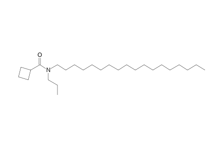 Cyclobutanecarboxamide, N-propyl-N-octadecyl-