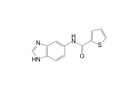 2-Thiophenecarboxamide, N-(1H-1,3-benzimidazol-5-yl)-