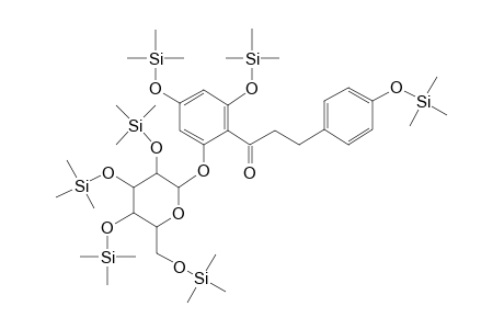 Phlorizin, hepta-TMS